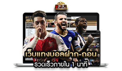 เว็บแทงบอล 123VIP